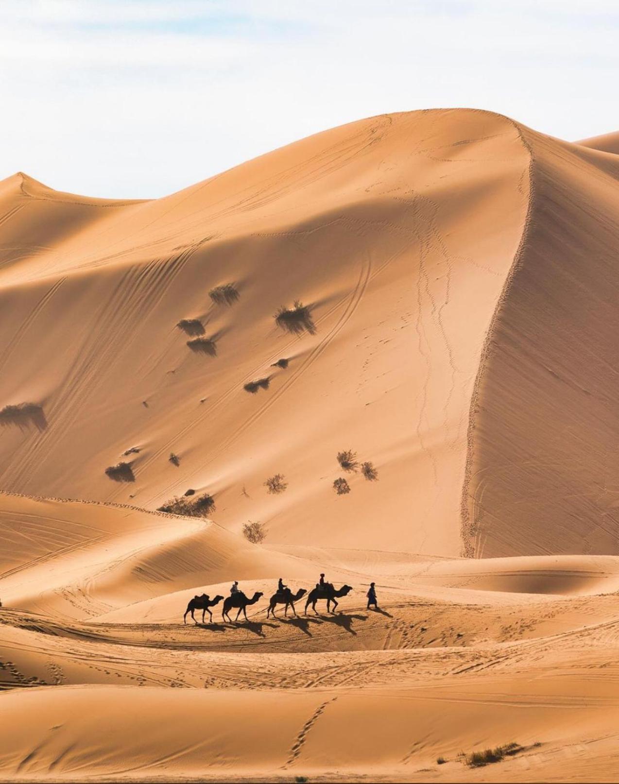 Your Berber Camp Merzouga Extérieur photo